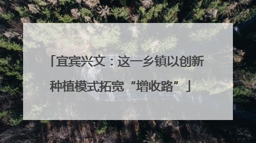 宜宾兴文：这一乡镇以创新种植模式拓宽“增收路”