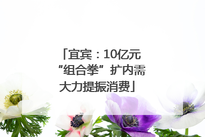 宜宾：10亿元“组合拳”扩内需 大力提振消费