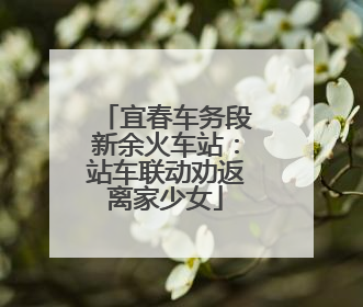 宜春车务段新余火车站：站车联动劝返离家少女