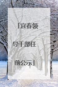 宜春领导干部任前公示