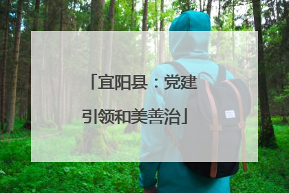 宜阳县：党建引领和美善治