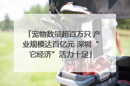 宠物数量超百万只 产业规模达百亿元 深圳“它经济”活力十足
