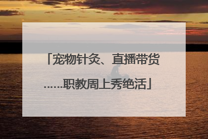 宠物针灸、直播带货……职教周上秀绝活