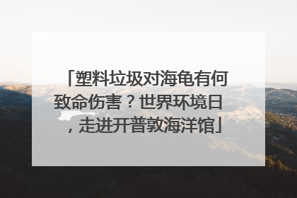 塑料垃圾对海龟有何致命伤害？世界环境日，走进开普敦海洋馆