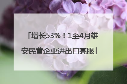 增长53%！1至4月雄安民营企业进出口亮眼
