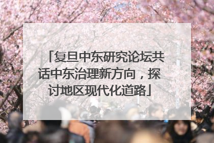 复旦中东研究论坛共话中东治理新方向，探讨地区现代化道路