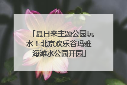 夏日来主题公园玩水！北京欢乐谷玛雅海滩水公园开园