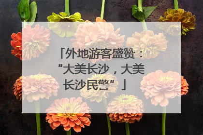 外地游客盛赞：“大美长沙，大美长沙民警”