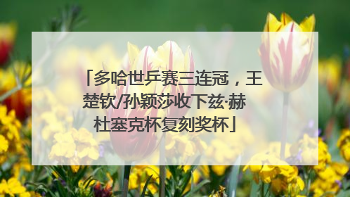 多哈世乒赛三连冠，王楚钦/孙颖莎收下兹·赫杜塞克杯复刻奖杯