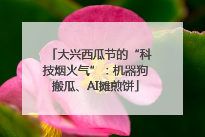 大兴西瓜节的“科技烟火气”：机器狗搬瓜、AI摊煎饼