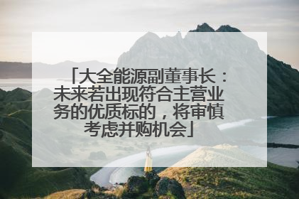 大全能源副董事长：未来若出现符合主营业务的优质标的，将审慎考虑并购机会
