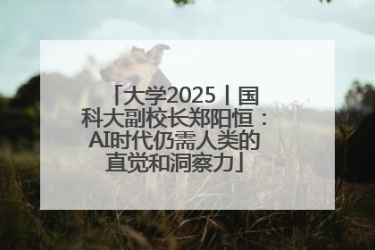 大学2025丨国科大副校长郑阳恒：AI时代仍需人类的直觉和洞察力