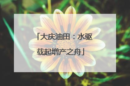 大庆油田：水驱载起增产之舟