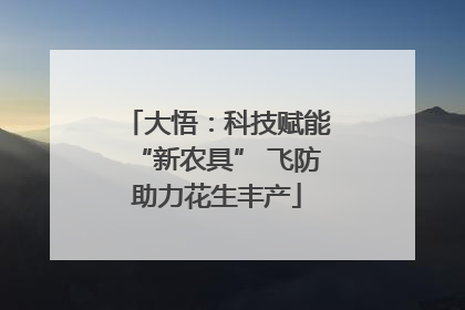 大悟：科技赋能“新农具” 飞防助力花生丰产
