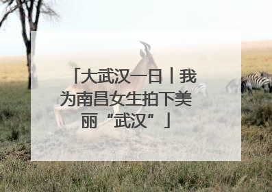 大武汉一日︱我为南昌女生拍下美丽“武汉”