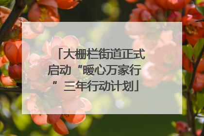 大栅栏街道正式启动“暖心万家行”三年行动计划