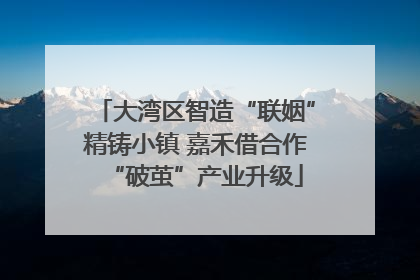大湾区智造“联姻”精铸小镇 嘉禾借合作“破茧”产业升级