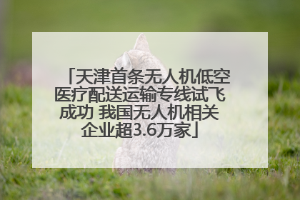 天津首条无人机低空医疗配送运输专线试飞成功 我国无人机相关企业超3.6万家