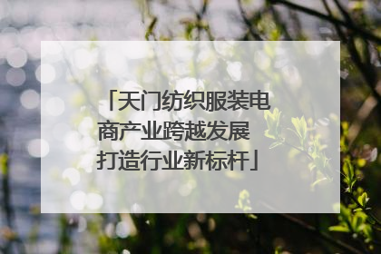 天门纺织服装电商产业跨越发展 打造行业新标杆