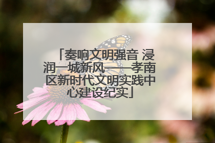 奏响文明强音 浸润一城新风——孝南区新时代文明实践中心建设纪实