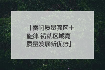 奏响质量强区主旋律 铸就区域高质量发展新优势