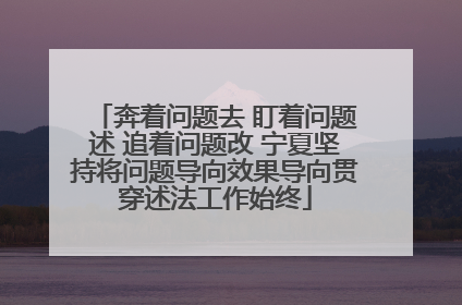 奔着问题去 盯着问题述 追着问题改 宁夏坚持将问题导向效果导向贯穿述法工作始终