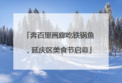 奔百里画廊吃铁锅鱼，延庆区美食节启幕