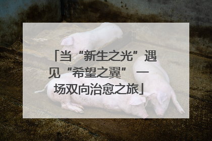 当“新生之光”遇见“希望之翼” 一场双向治愈之旅