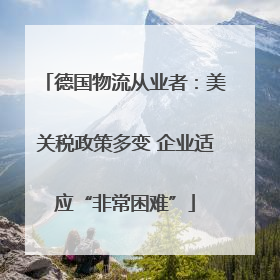 德国物流从业者：美关税政策多变 企业适应“非常困难”