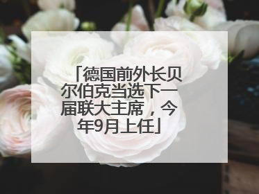 德国前外长贝尔伯克当选下一届联大主席，今年9月上任