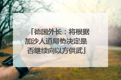 德国外长：将根据加沙人道局势决定是否继续向以方供武