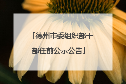 德州市委组织部干部任前公示公告