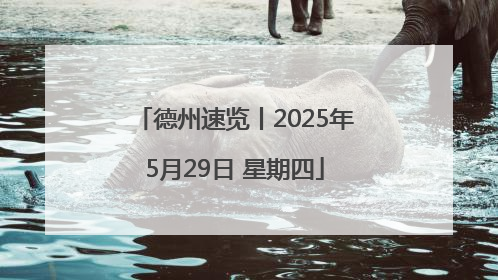 德州速览丨2025年5月29日 星期四