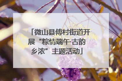 微山县傅村街道开展“粽情端午·古韵乡浓”主题活动