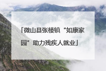 微山县张楼镇“如康家园”助力残疾人就业