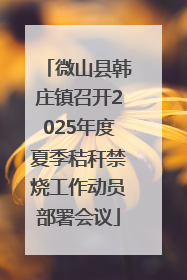 微山县韩庄镇召开2025年度夏季秸秆禁烧工作动员部署会议