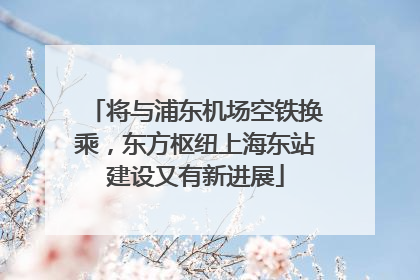 将与浦东机场空铁换乘，东方枢纽上海东站建设又有新进展