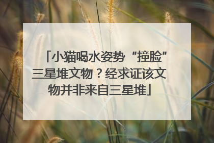 小猫喝水姿势“撞脸”三星堆文物？经求证该文物并非来自三星堆