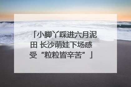 小脚丫踩进六月泥田 长沙萌娃下场感受“粒粒皆辛苦”