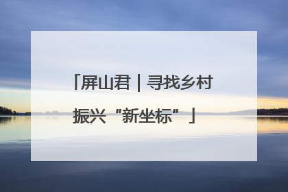 屏山君｜寻找乡村振兴“新坐标”