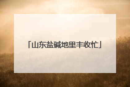 山东盐碱地里丰收忙