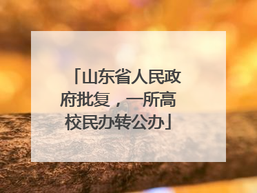 山东省人民政府批复，一所高校民办转公办