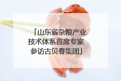 山东省杂粮产业技术体系首席专家参访古贝春集团