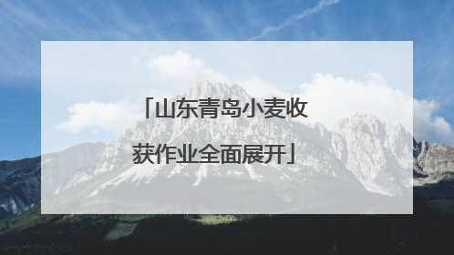 山东青岛小麦收获作业全面展开