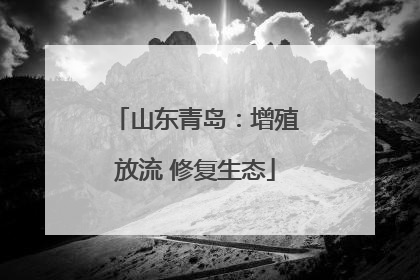 山东青岛：增殖放流 修复生态