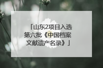山东2项目入选第六批《中国档案文献遗产名录》