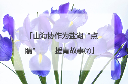 山海协作为盐湖“点睛”——援青故事⑦