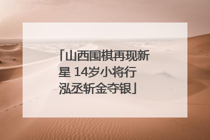 山西围棋再现新星 14岁小将行泓丞斩金夺银