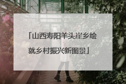 山西寿阳羊头崖乡绘就乡村振兴新图景