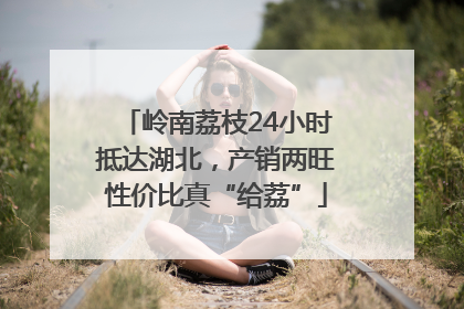 岭南荔枝24小时抵达湖北，产销两旺性价比真“给荔”